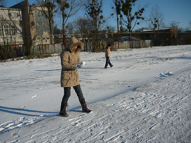 Zima 2008