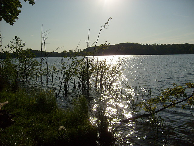 jeziorko