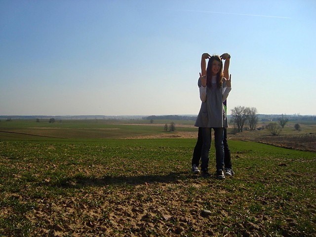 ave ; d