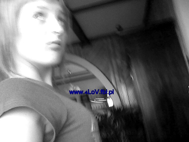  . 4 LoV . 