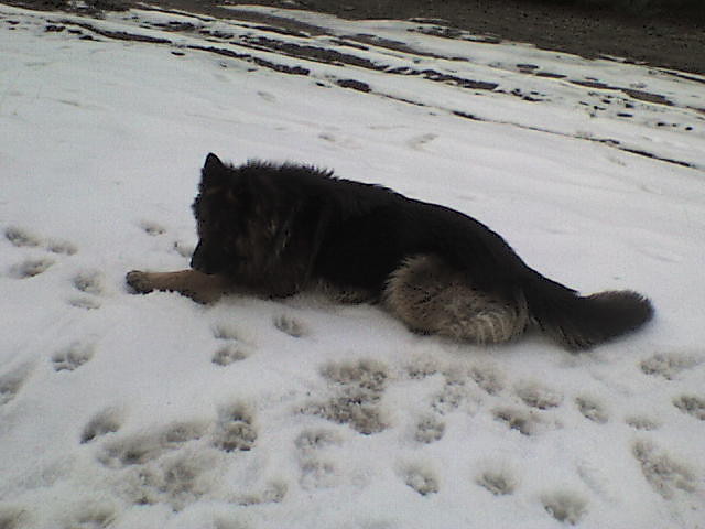 moje malestwo;*