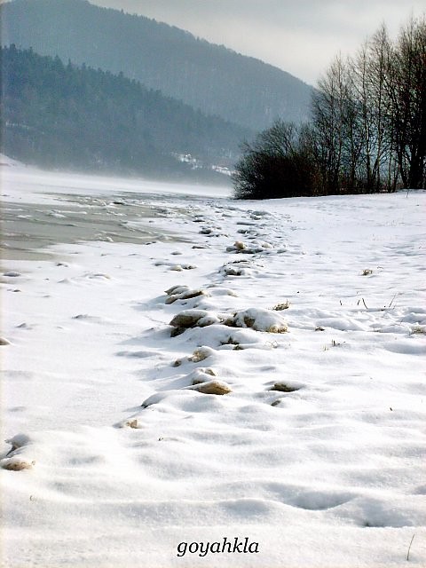 Wpis goyahkla