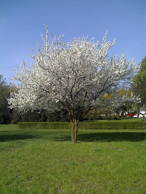 znaleione :)