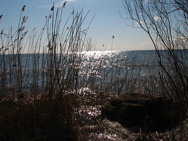 Jezioro Pejpus