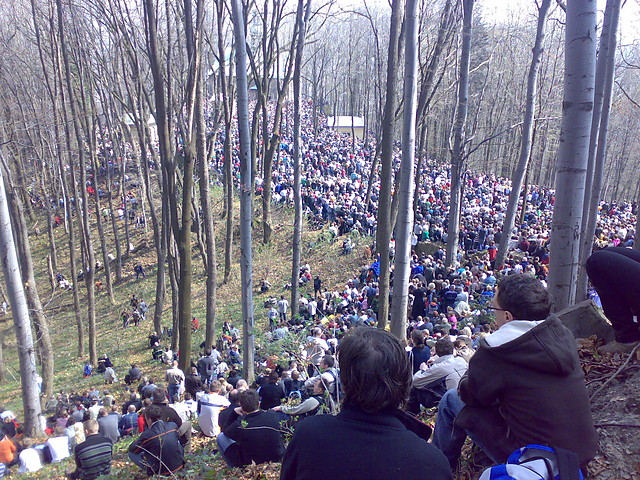 Kalwaria 2009