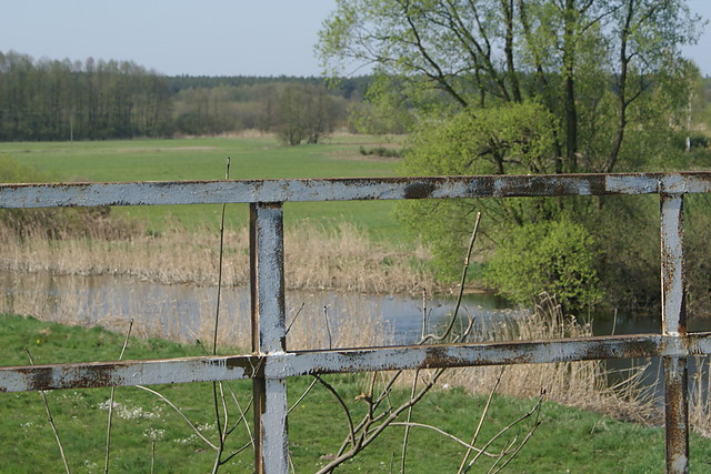 Wpis zonaginekologa