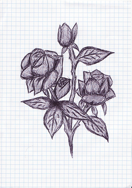 My rose ;DDDD