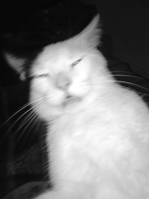 Wpis czaarnulaa