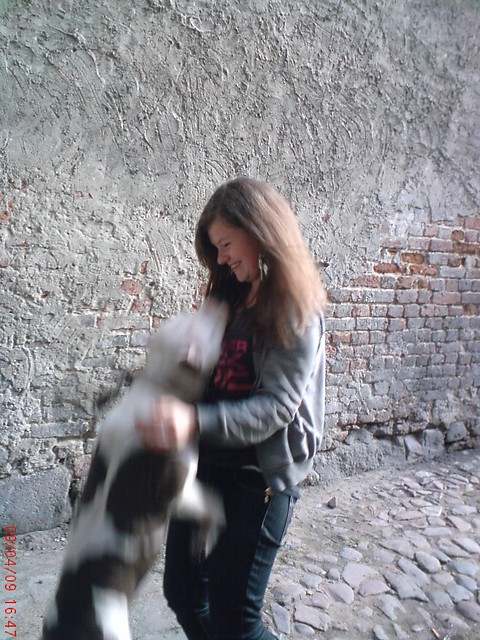 z Fet