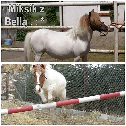 miks . 3