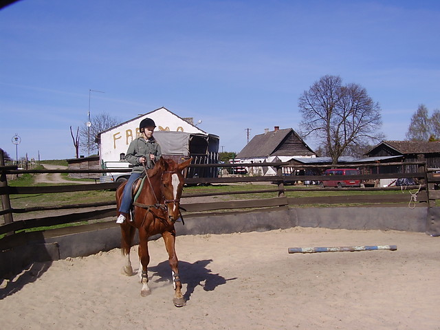 galopuje