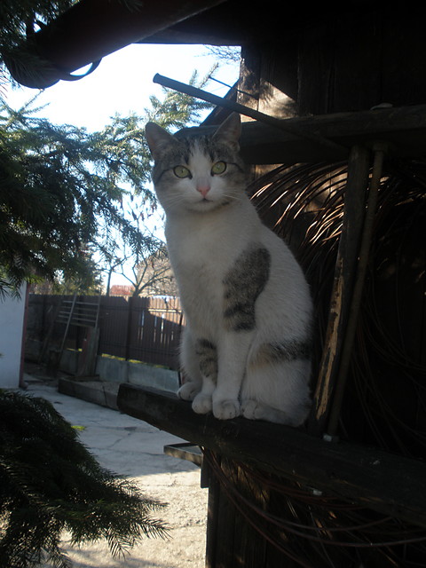 Zuzia ^^