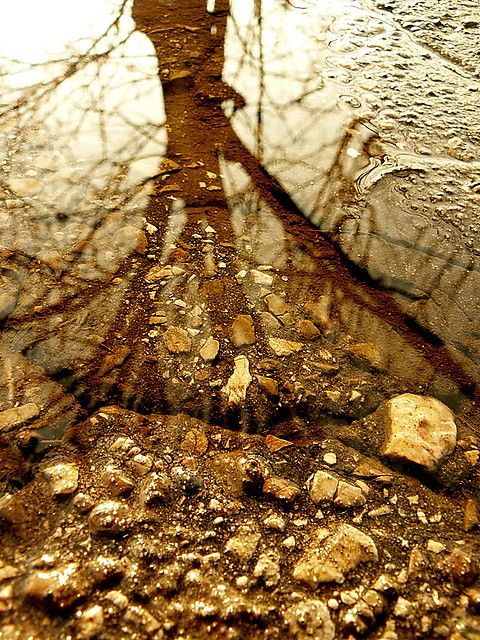 Wpis cynamonowatajemnica