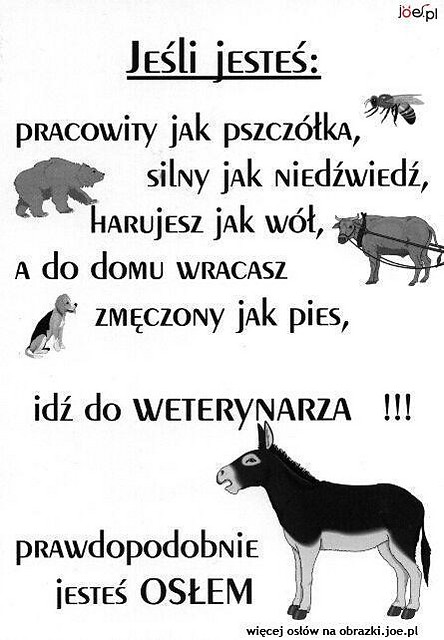 Wpis wojtus1916
