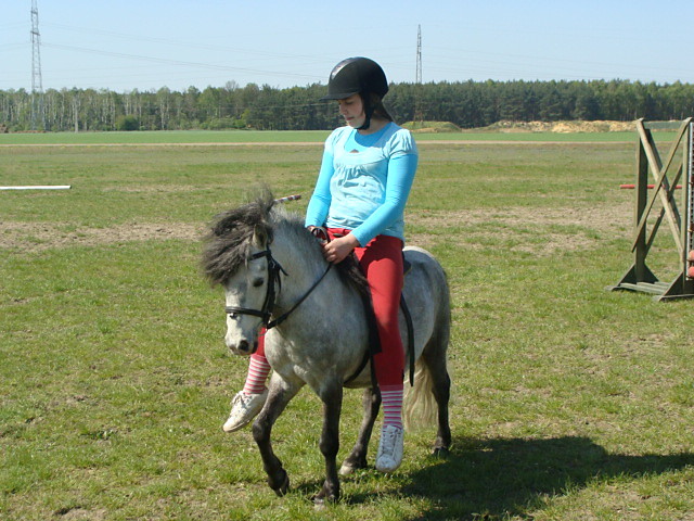 Wpis corda