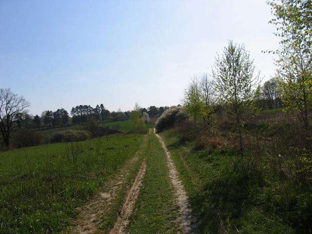wiosna