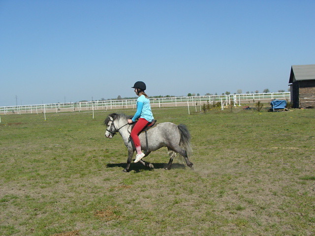 kornik ;*