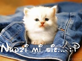 lalala ;-)