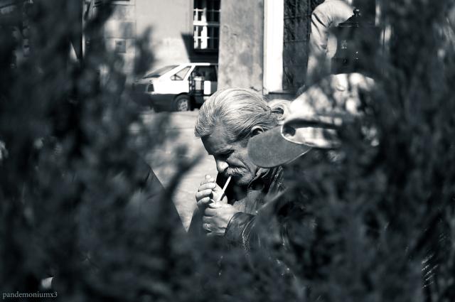 paparazzi XDD