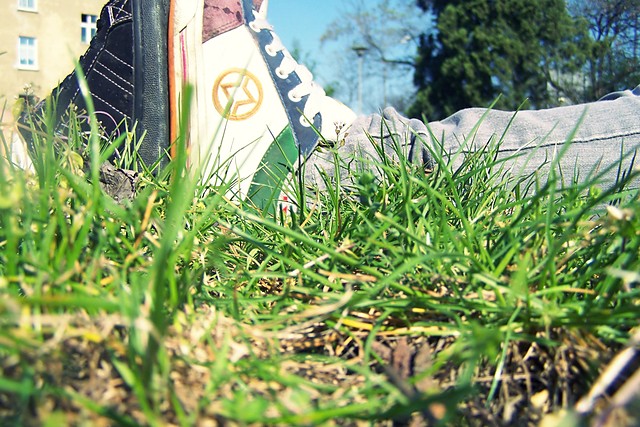 Wpis everydaylifee