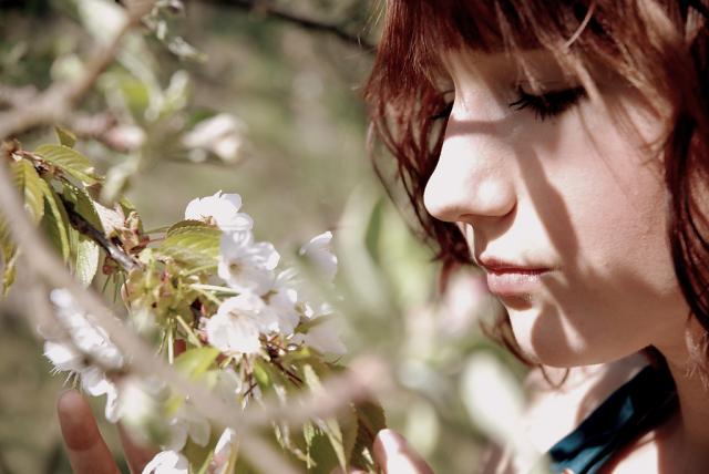 Primavera....