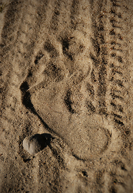 happy feet