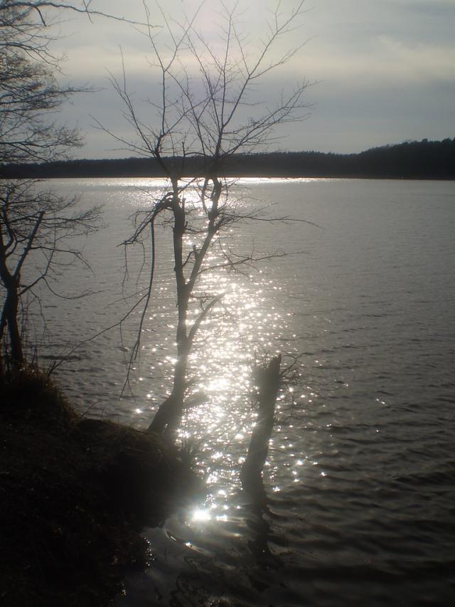 Wolno