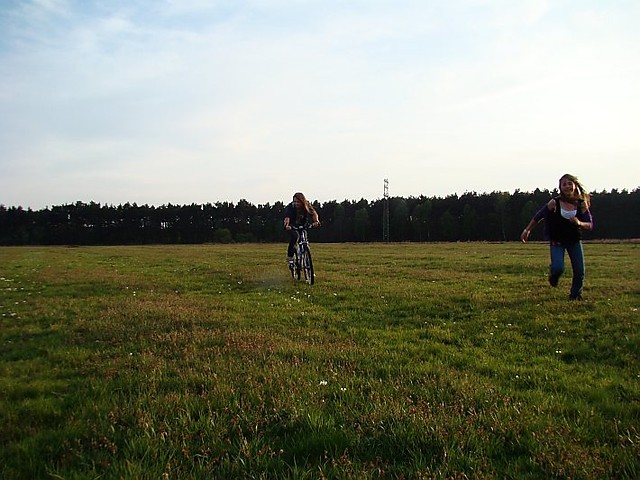 Wpis fiolki