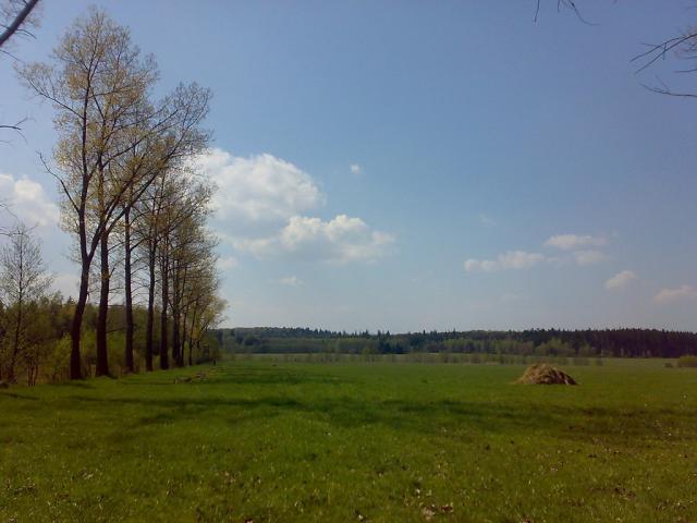 Wpis marowa