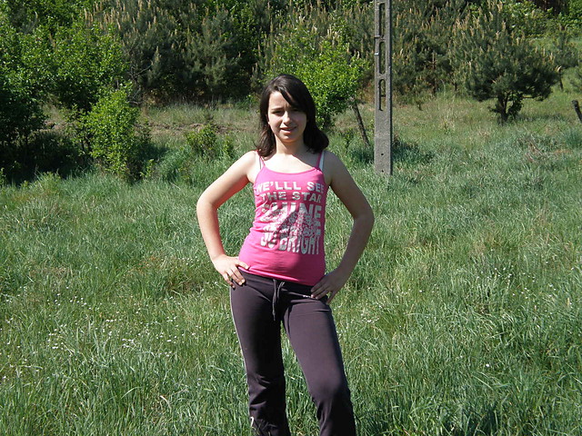 Wpis sysysylwia