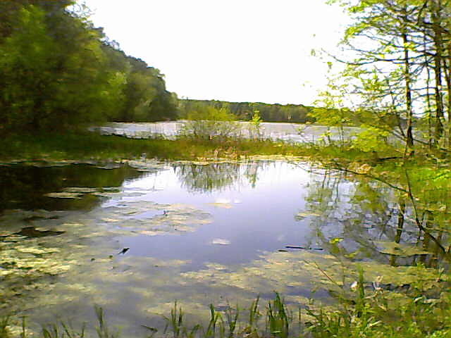 zalew