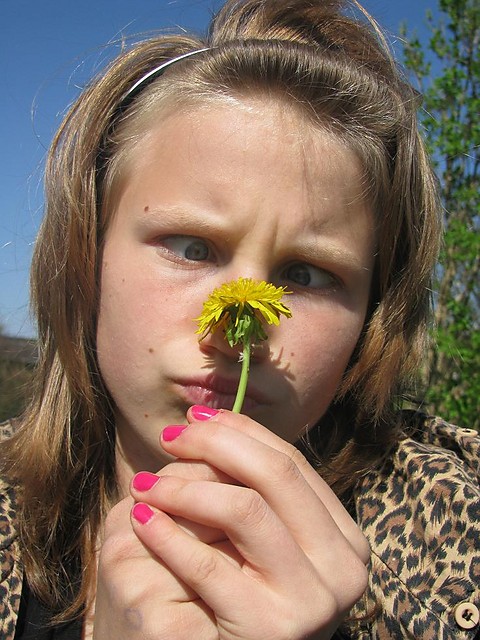 Wpis rozoweserce