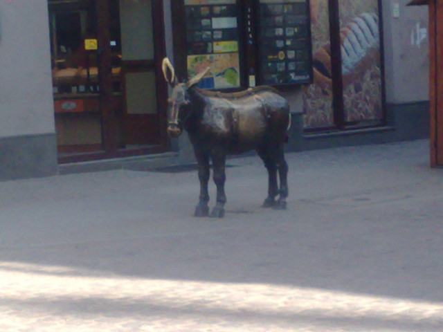 Ah ten osioek ^^