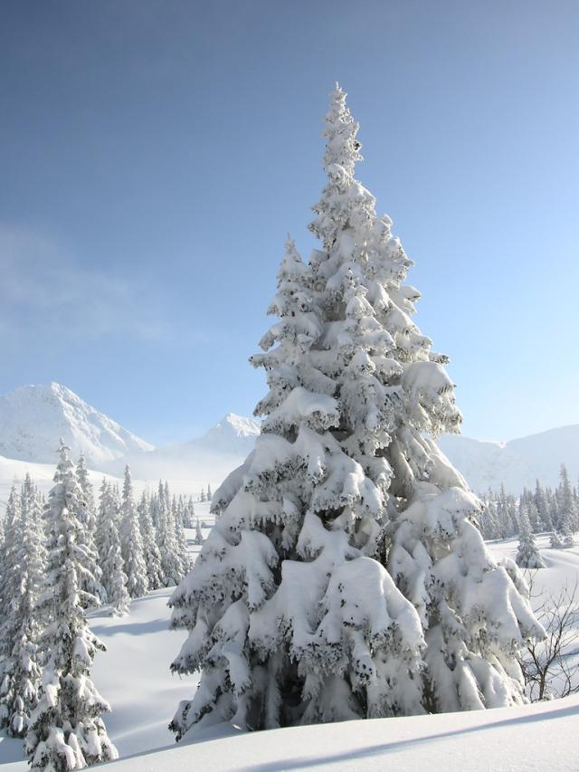 Tatry