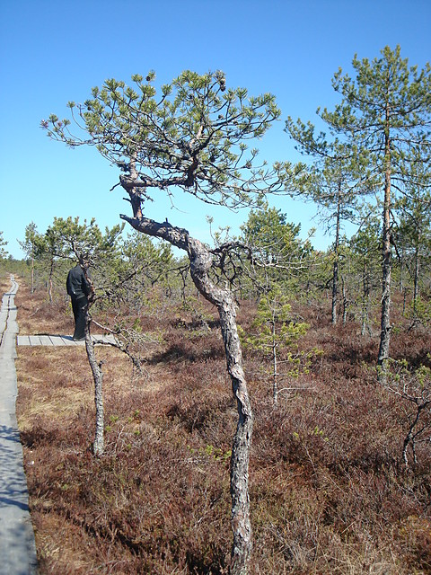 Park Narodowy Lahemaa
