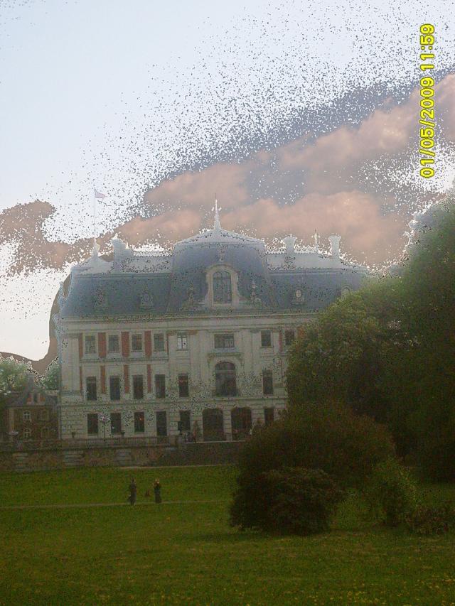 zamek w Pszczynie