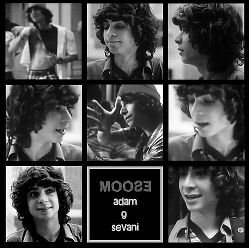 MOOSE :*