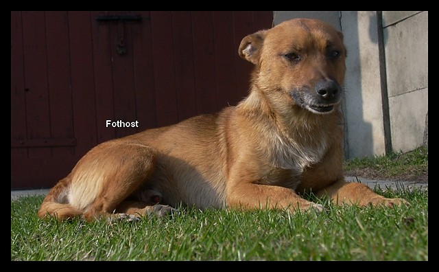 Misio =)