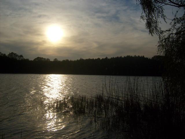 Wpis kwiatuszek89