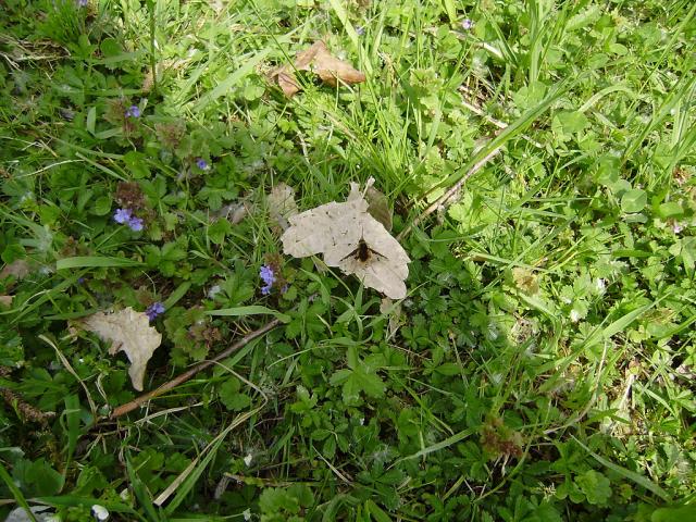 NATURA - MOJE FOTKI