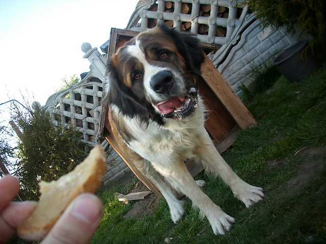hahaha < 33!!