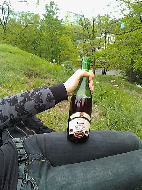 8. Sucker/Saker/Sakar