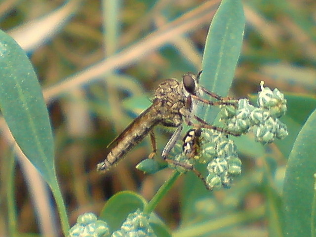 Wpis fotograf10
