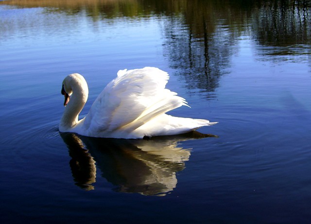 Wpis photographyilovethis