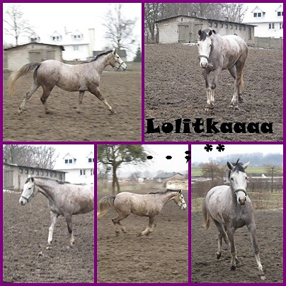 Wpis xxxkoniczek96xxx