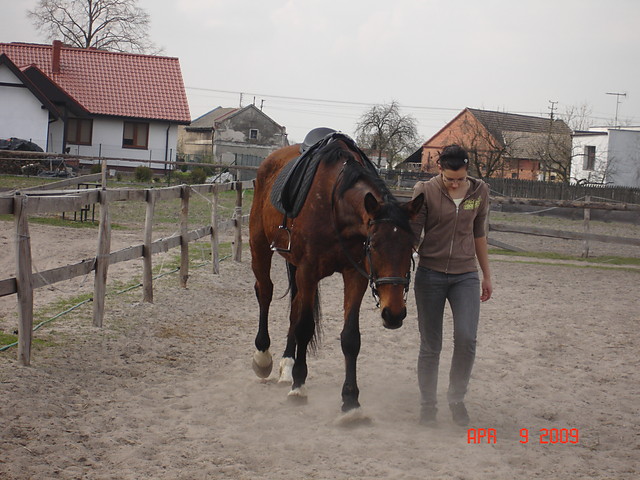 Tamizowe:):***