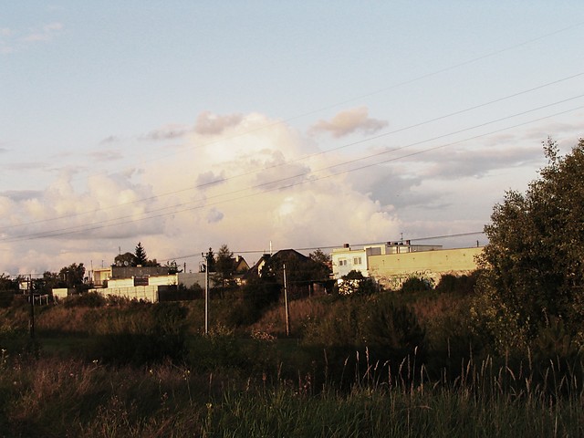 11.