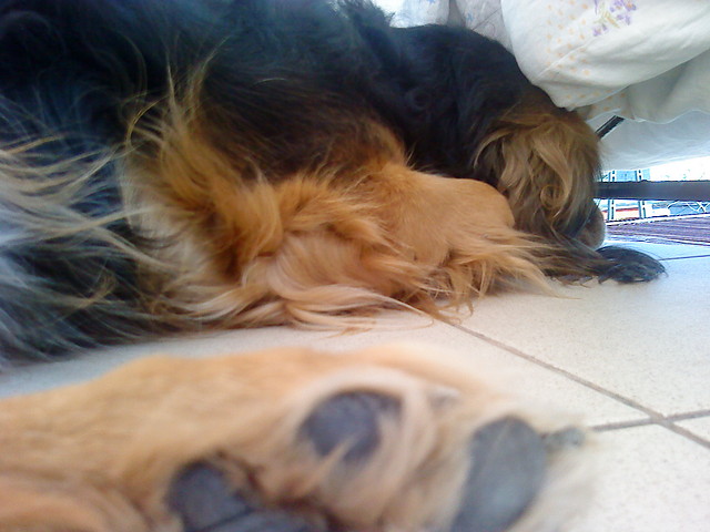 Wpis xxdogonicxmarzeniaxx