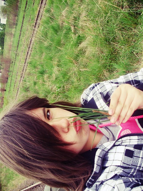 Wpis haiena
