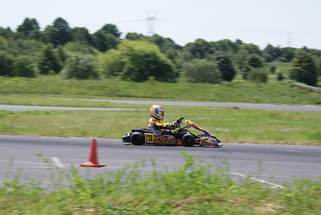 Wpis scarabenko